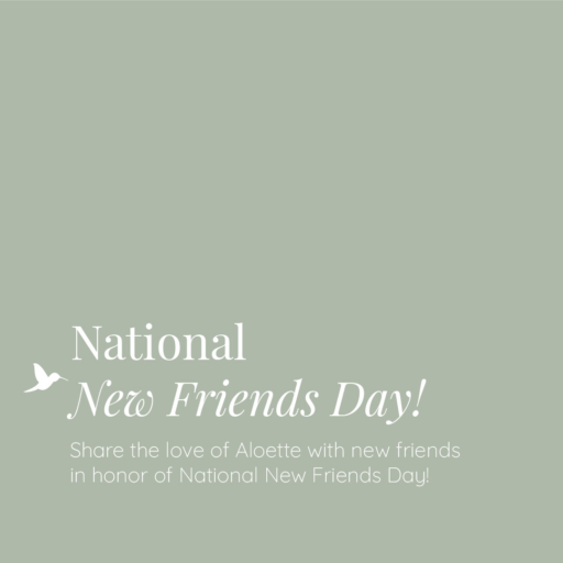 New Friends Day.png
